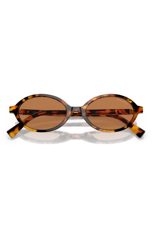 Miu Miu 50mm Oval Sunglasses in Brown  product