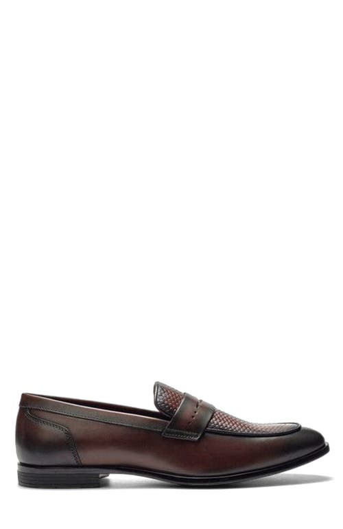 Carlos Santana Solstice Penny Loafer In Multi