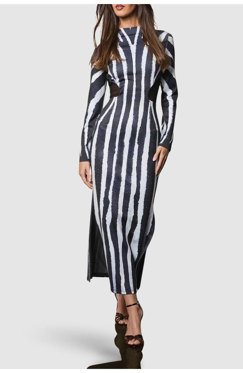 Coast Muse Printed Maxi Dress, Alternate, color, Mono