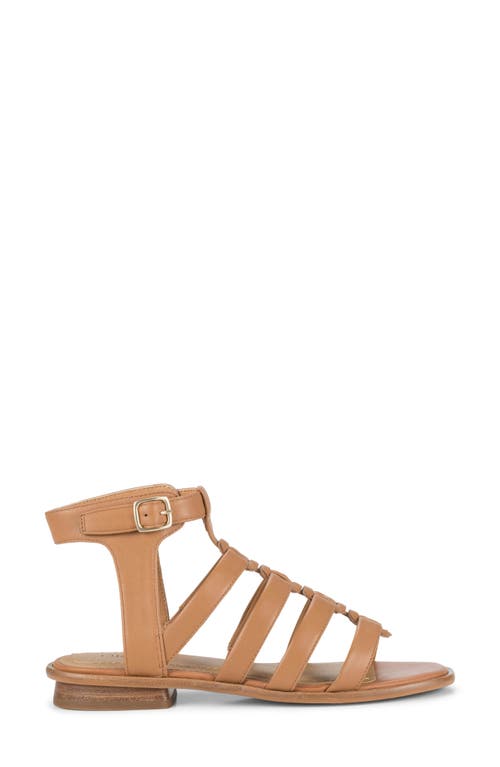 Baretraps Nathalia Gladiator Sandal In Tan Leather