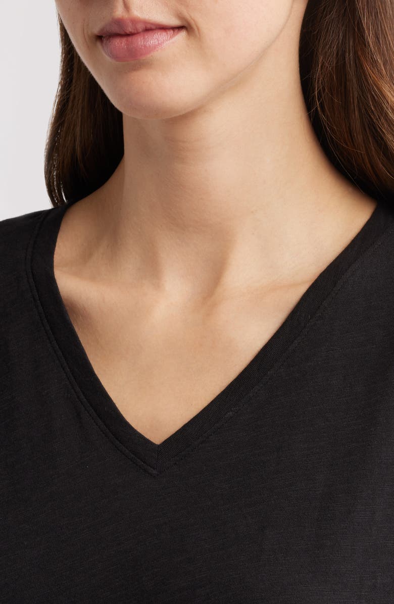 Eileen Fisher Easy Organic Cotton T-Shirt, Alternate, color, Black