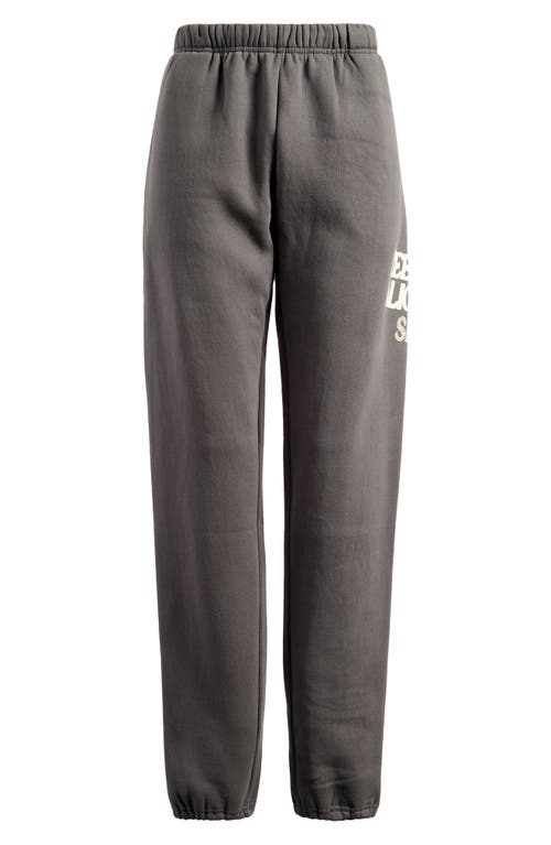 THE MAYFAIR GROUP THE MAYFAIR GROUP THE ALIGNMENT TOUR JOGGERS 