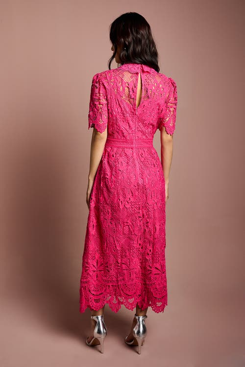 Coast Short Sleeve Collared Lace Midi Dress In Pink
