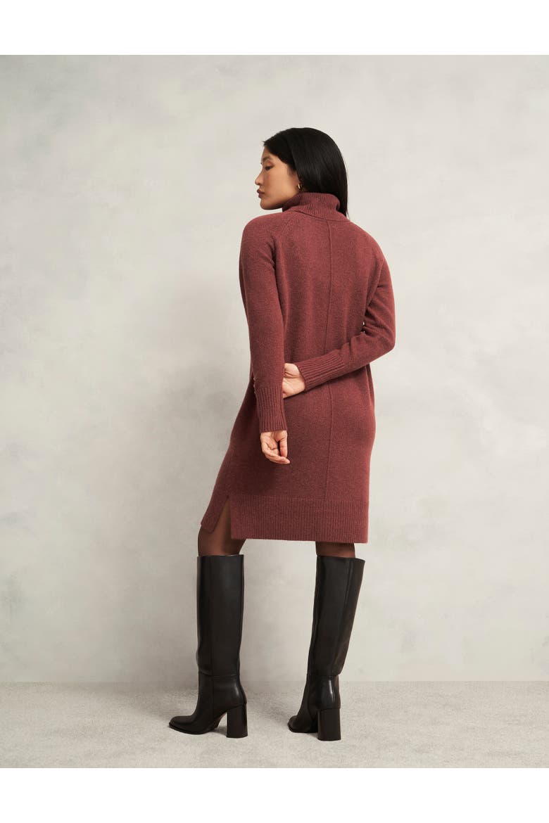 Nessa Knitted Dress, Alternate, color, Cinnamon Brown