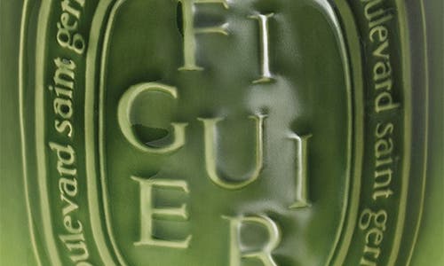Diptyque Figuer Candle In Green