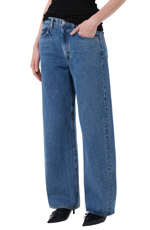 Agolde Low Curve Jeans In Blue