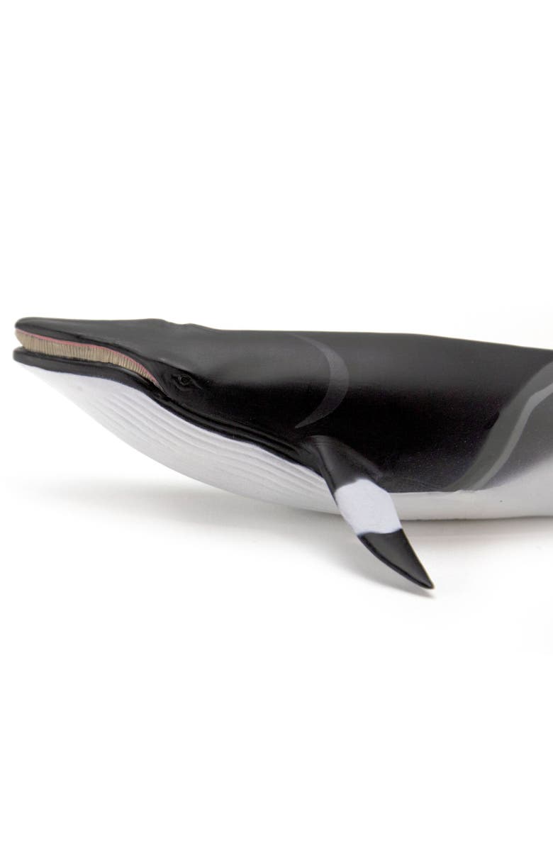 Safari Ltd. Minke Whale Toy, Alternate, color, NO COLOR