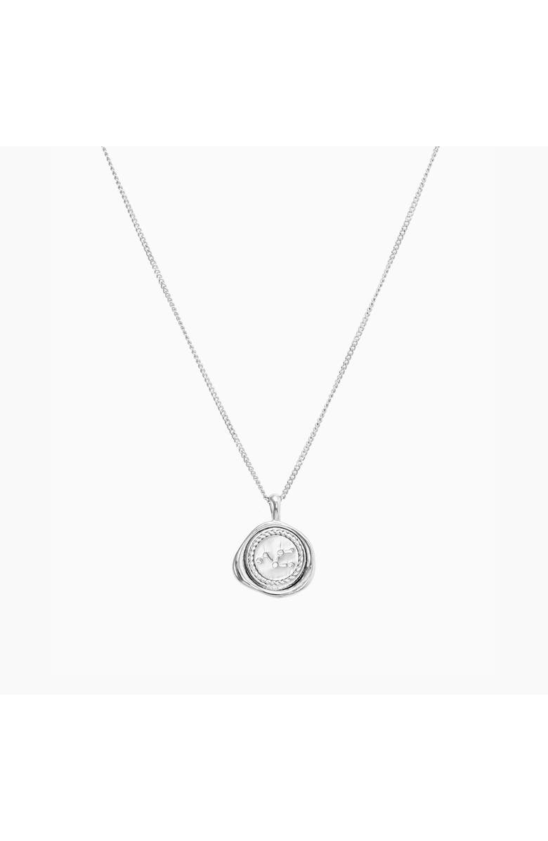 Bearfruit Jewelry 14k Gold Plated Seal Constellation Necklace 12 Zodiac Signs Holiday Gift Guide, Main, color, Silver