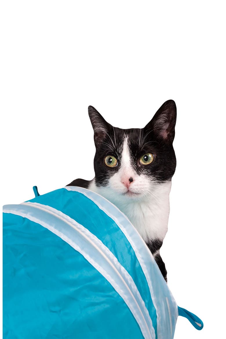 3-Way Kitting-Go-Seek Cat Tunnel, Alternate, color, BLUE/ WHITE