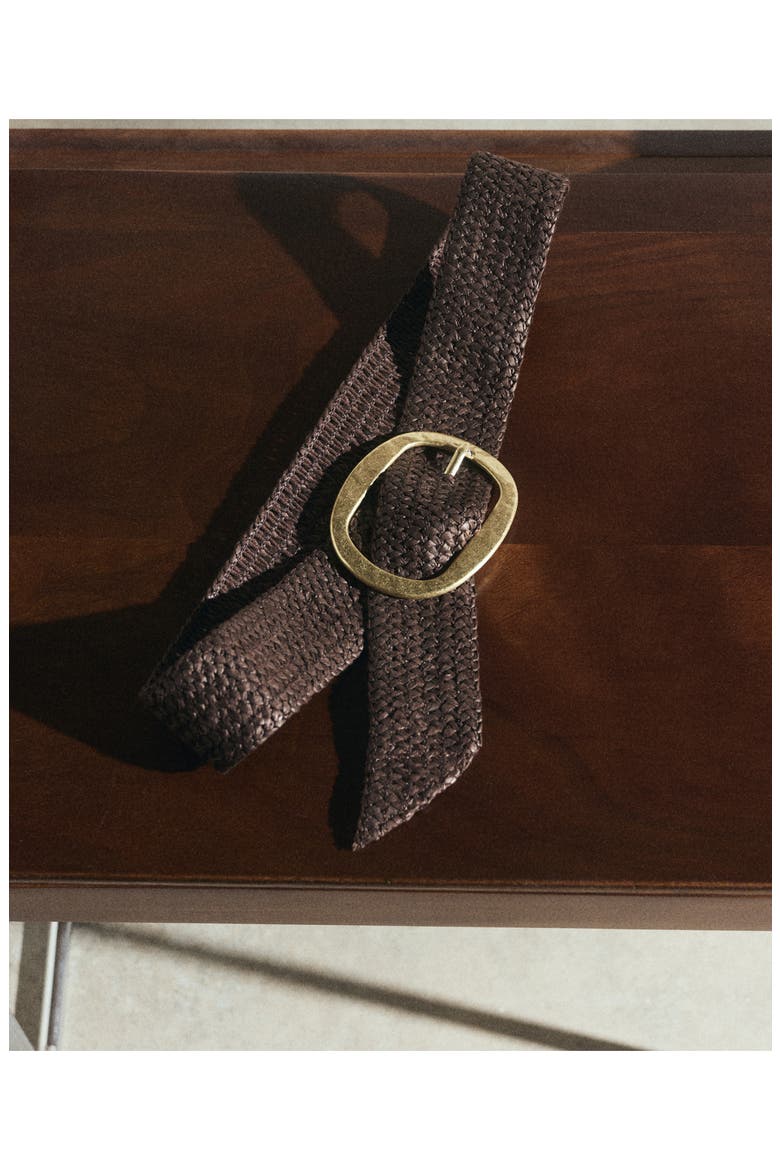 Natural Fiber Belt, Alternate, color, CHOCOLATE