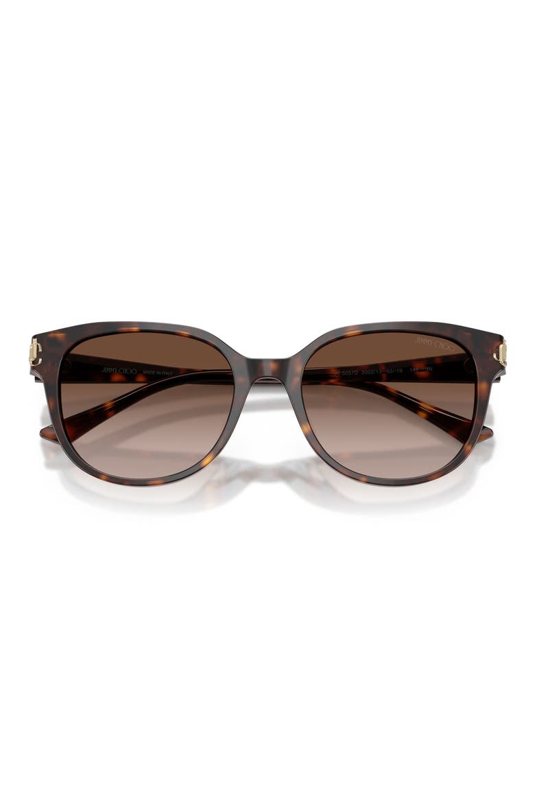 55mm Gradient Phantos Sunglasses, Alternate, color, HAVANA / GRADIENT BROWN
