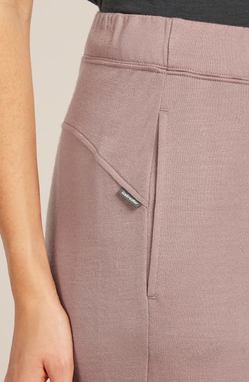 Icebreaker Crush Ii Joggers In Neutral