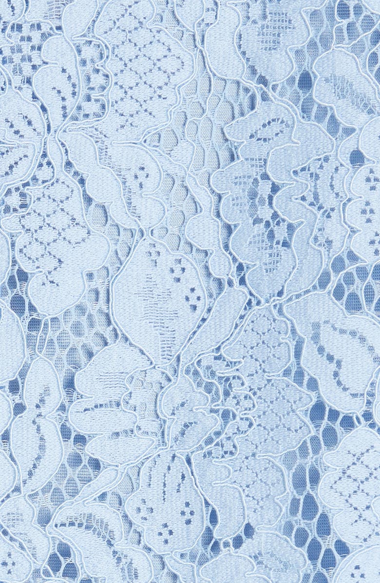 Ganni Jerome Lace Shift Dress, Alternate, color, 