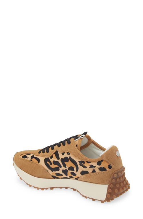 Steve Madden Campo-l Leopard Print Genuine Calf Hair Sneaker