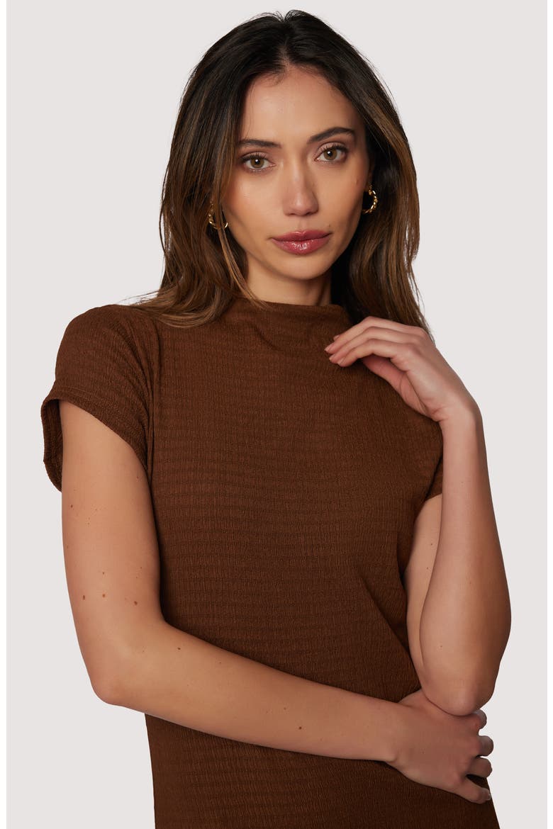 Eden's Serenade Midi Dress, Alternate, color, BROWN