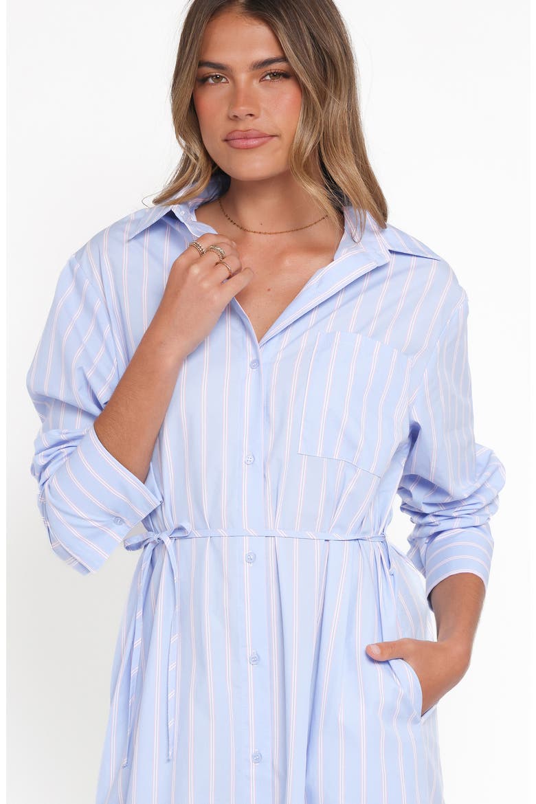Harlan Long Sleeve Cotton Shirtdress, Alternate, color, BLUE PINK STRIPE