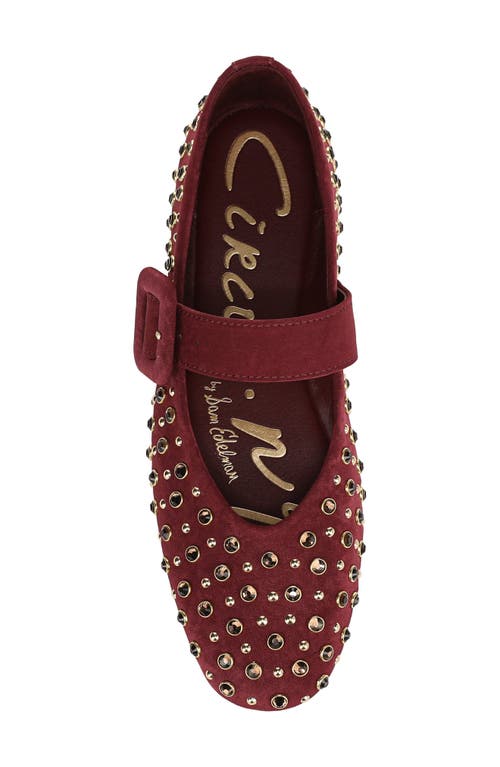 Circus Ny By Sam Edelman Blaire Studded Mary Jane Flat In Burgundy
