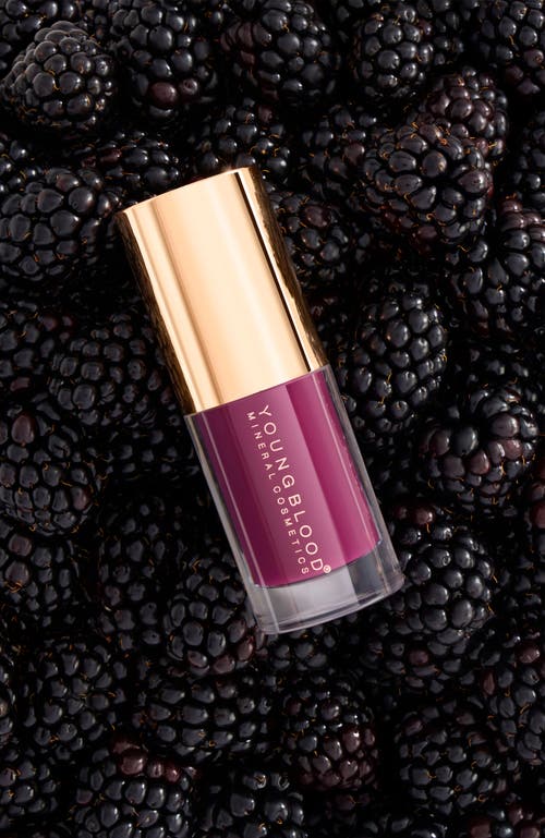 Youngblood Mineral Cosmetics Everglow Lip Oil In Purple