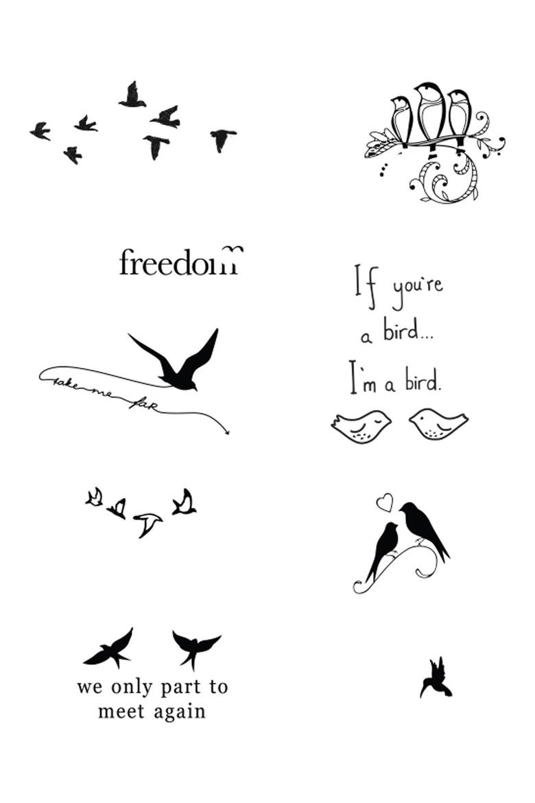 'Bird Is the Word' Temporary Tattoos, Main, color, NO COLOR