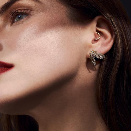 Bill Skinner Studio Bejewelled Moth Stud Earrings In Gold