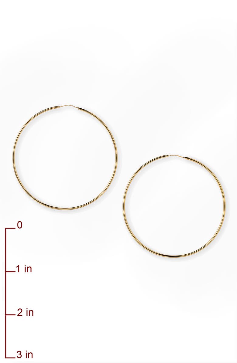Charles Garnier Hoop Earrings, Alternate, color,
