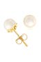 Sterling Silver Shell Pearl Earrings