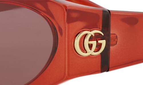 Gucci 53mm Core Round Sunglasses In Burgundy Burgundy Brown