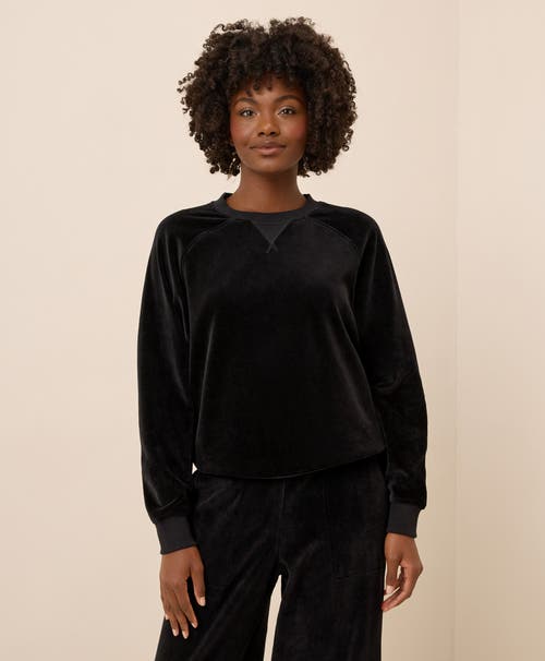 Pact Pure Velour Crew Sweatshirt In Black