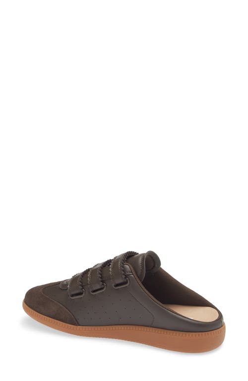 Steve Madden Memento Sneaker In Brown