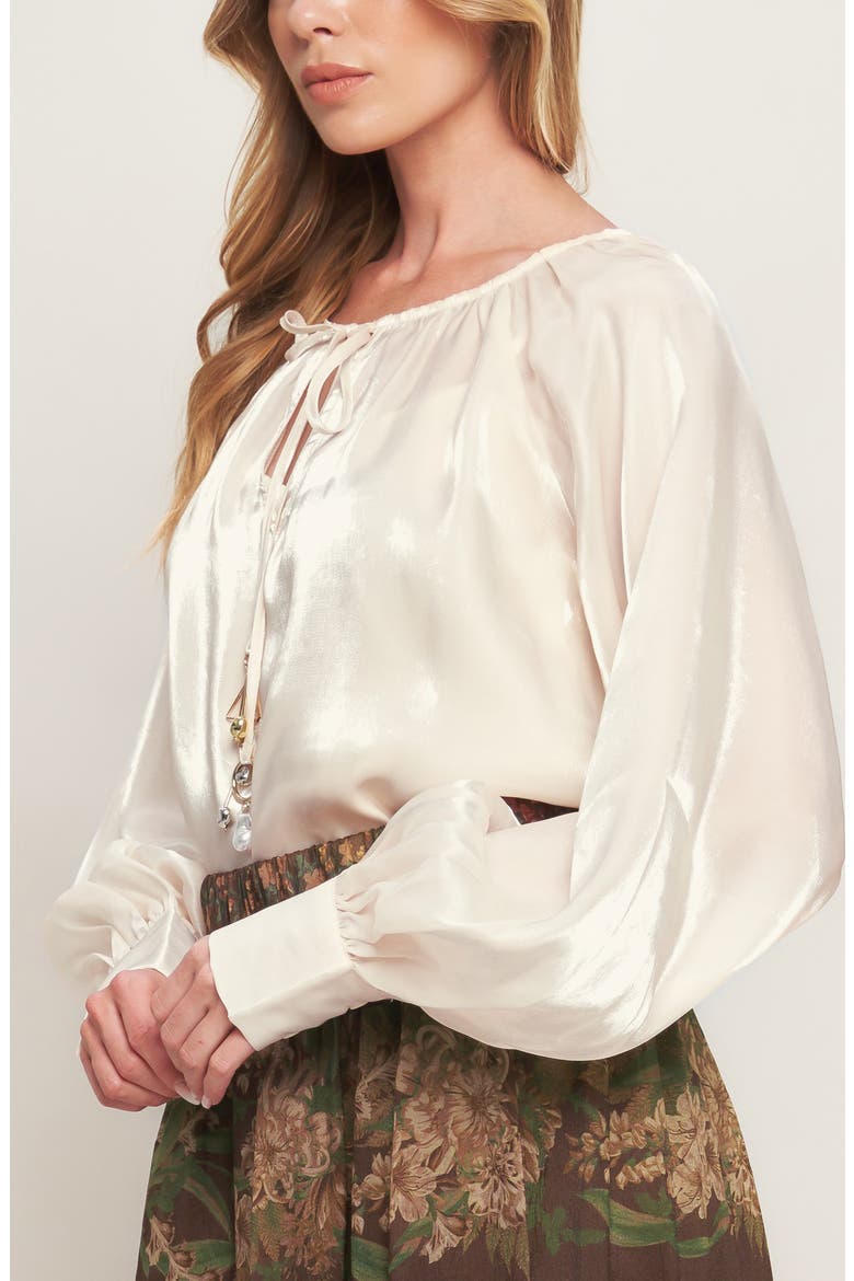 Sheen Long Sleeve Top, Alternate, color, CHAMPAGNE