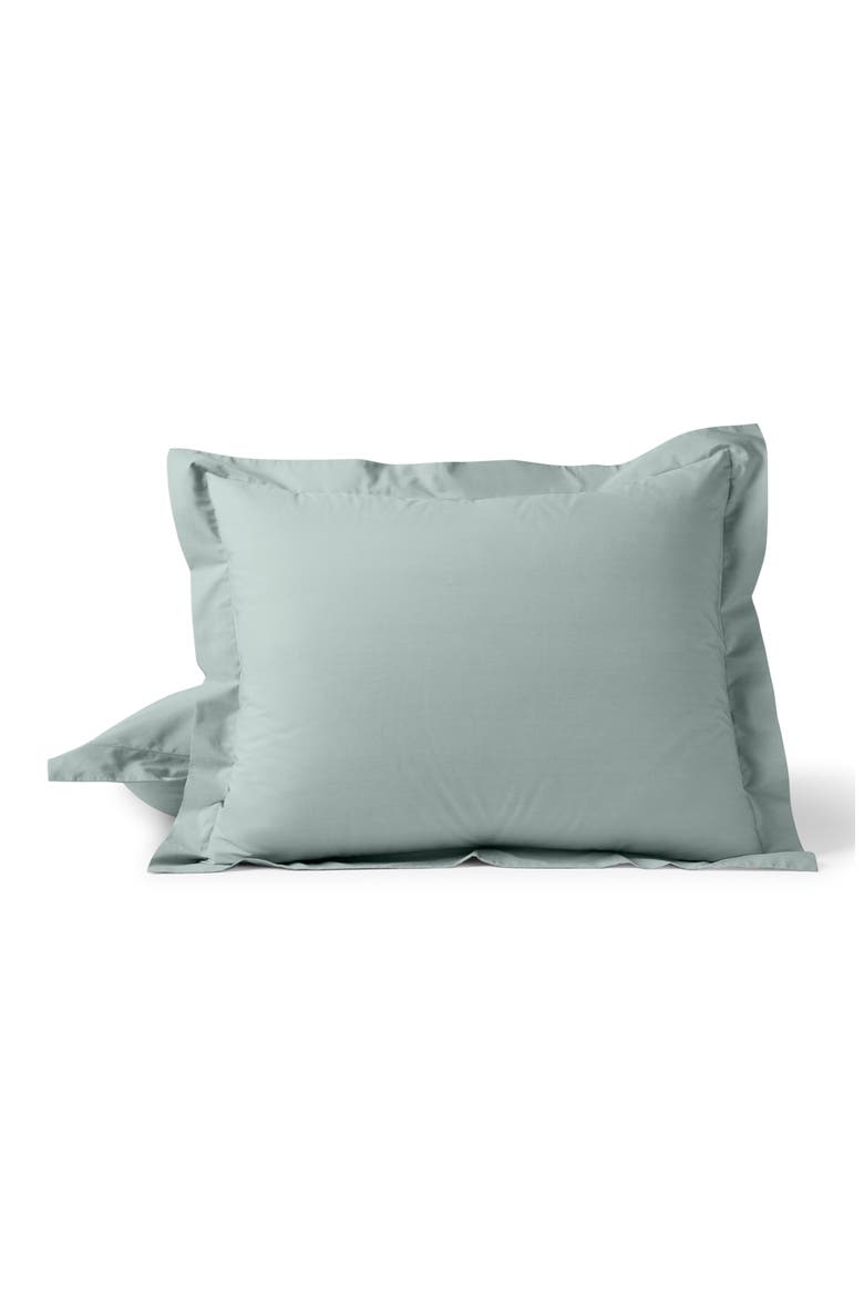 Refined Organic Cotton Percale Euro Sham, Main, color, DEW