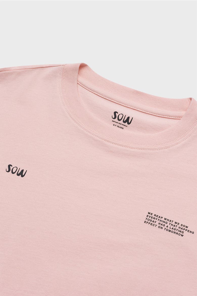 Relaxed Cotton T-Shirt With Print, Alternate, color, Rose
