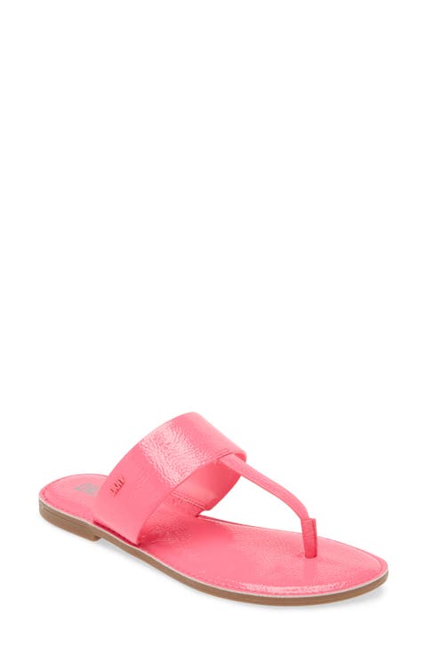 Solar Logo Sandal (Women)