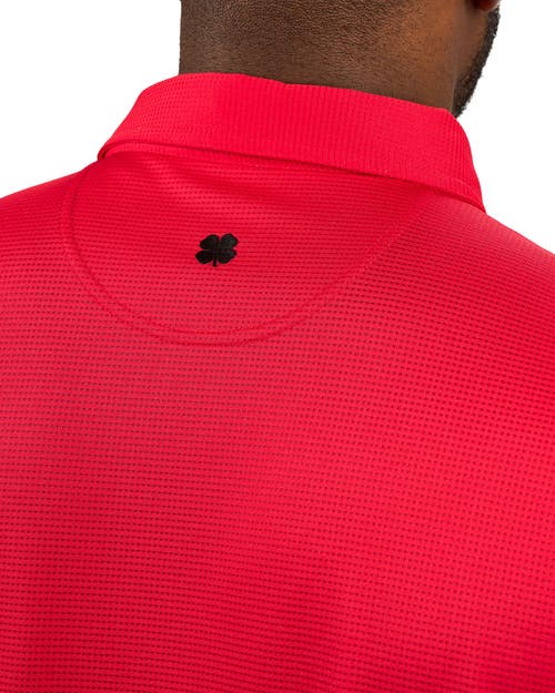 Black Clover Tubbs Polo In Red
