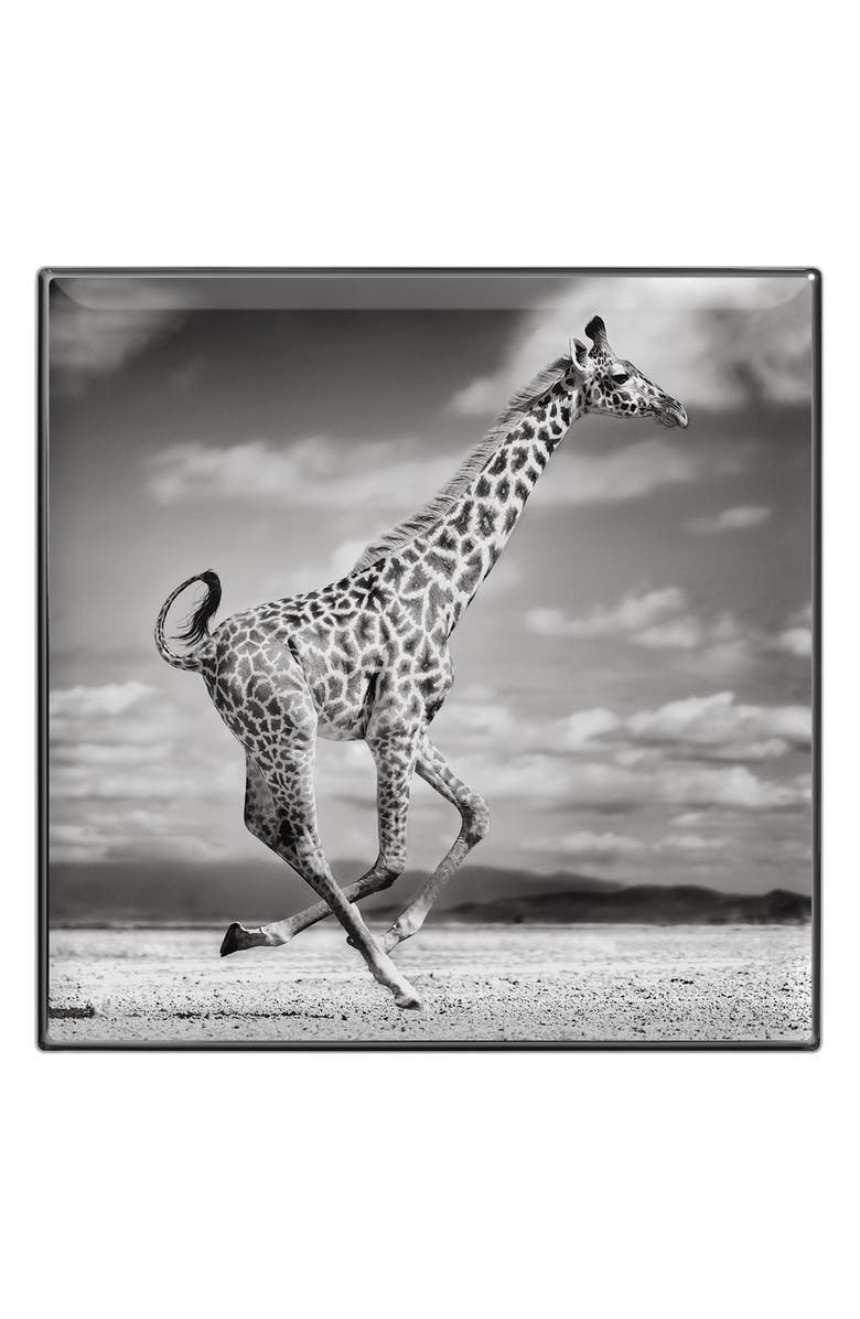 Chantecaille Luminescent Eye Shades, Alternate, color, Giraffe