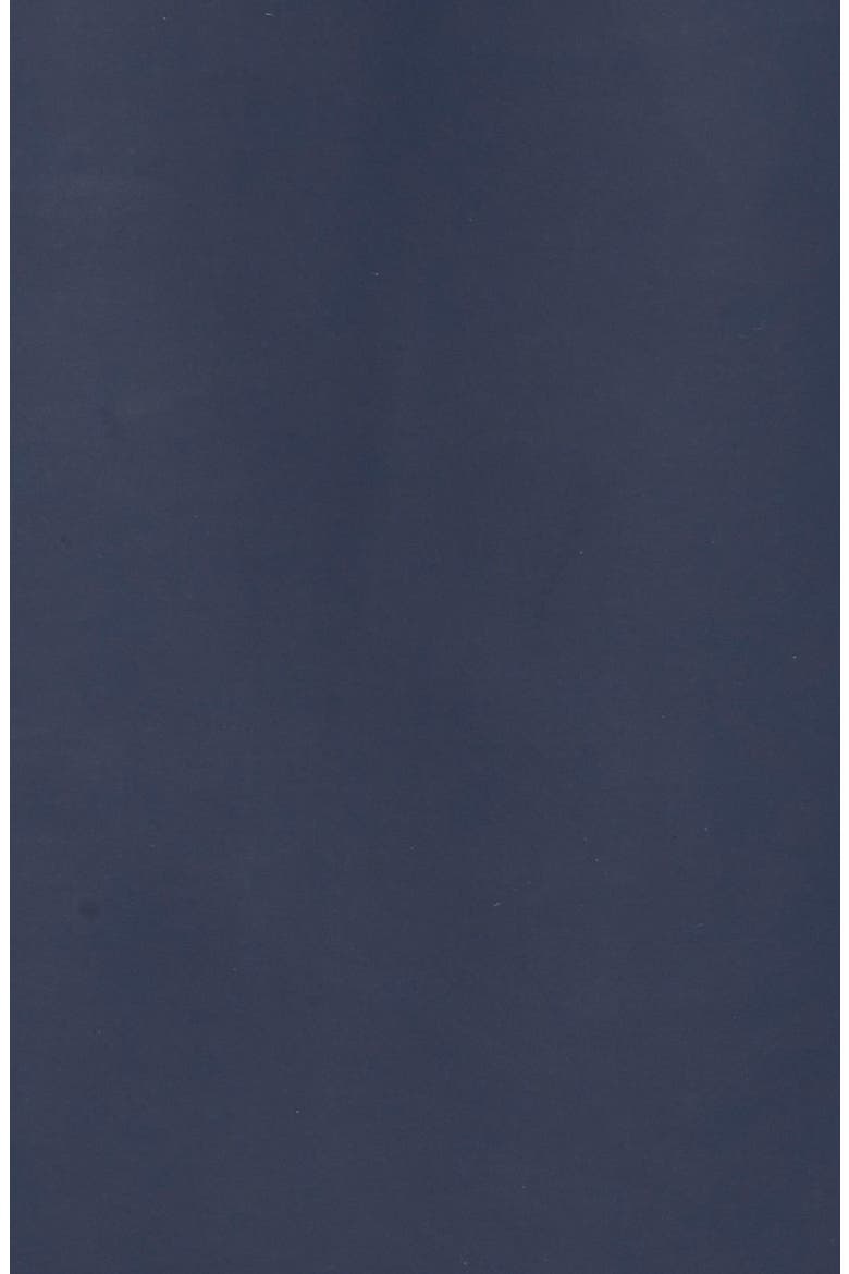 Stockholm Long Sleeve Hooded Raincoat, Alternate, color, NAVY