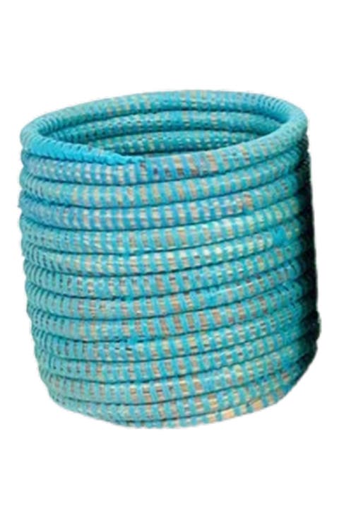 Succulent Basket Planter Success