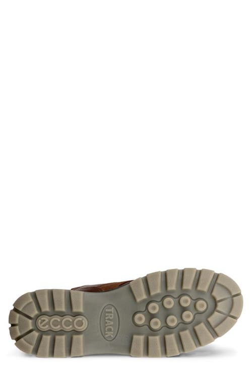 Ecco Track 25 Waterproof Boot In Brown