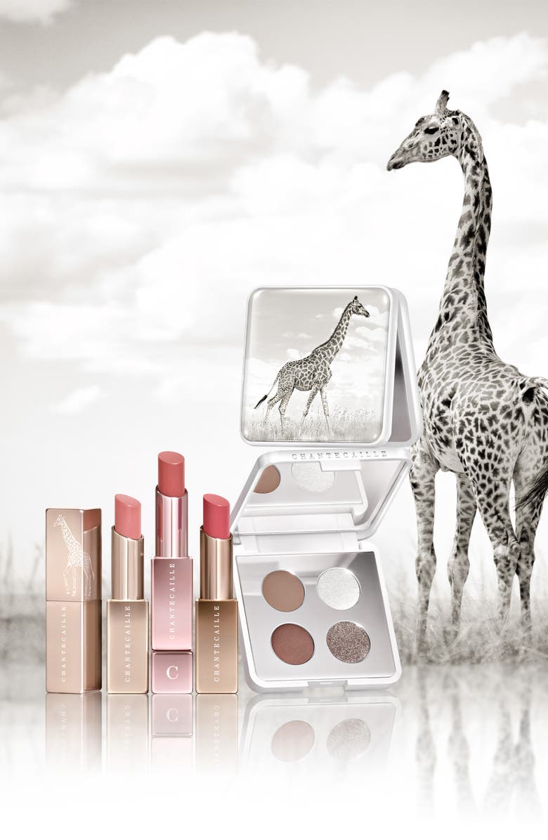 Chantecaille Giraffe Eyeshadow Palette, Alternate, color, 