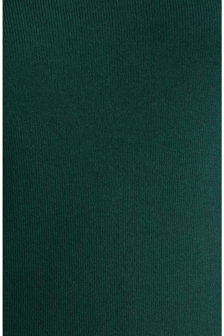 Turtleneck Rib Sweater, Alternate, color, PINE FOREST