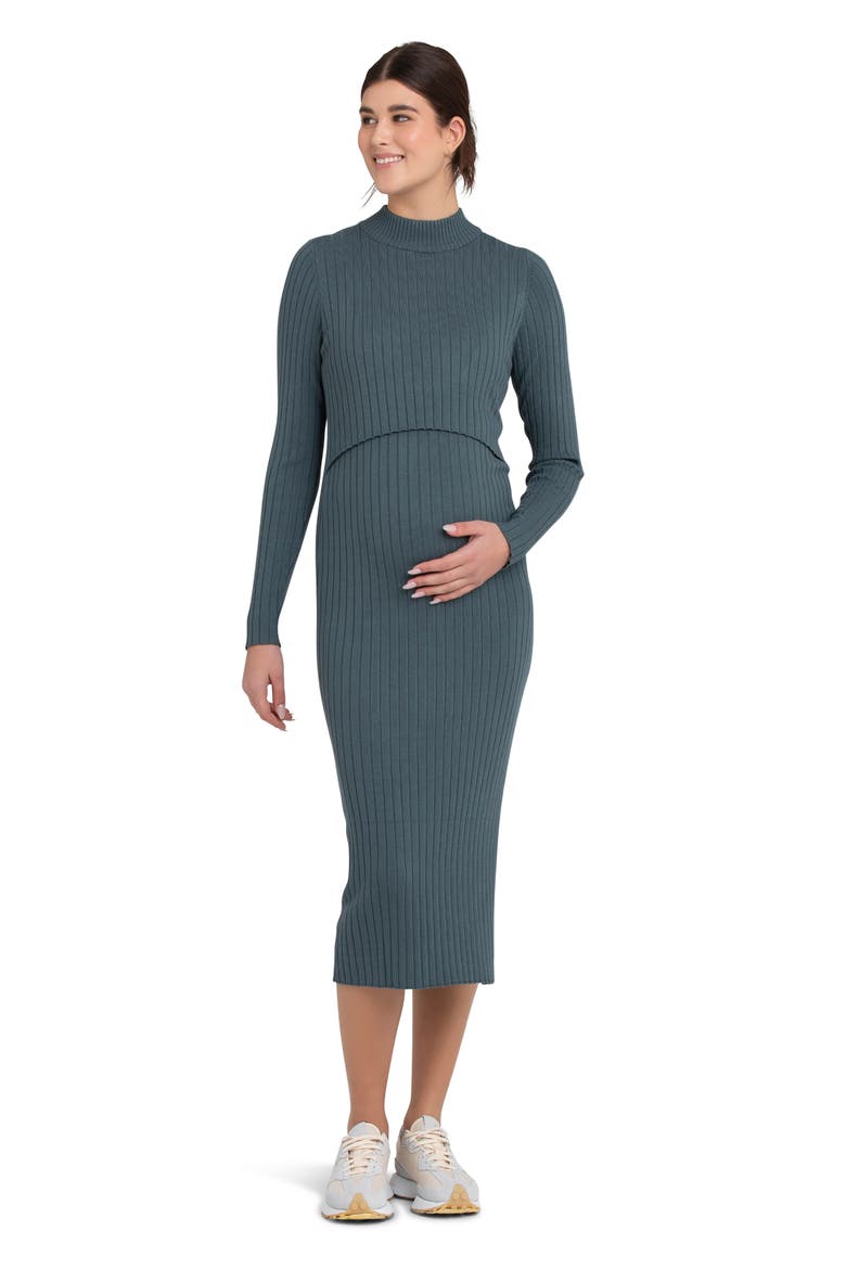 Nella Long Sleeve Rib Maternity Dress, Alternate, color, TEAL