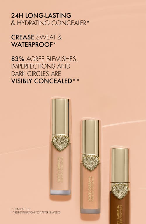 Dolce & Gabbana Dolce&gabbana Everlast Concealer