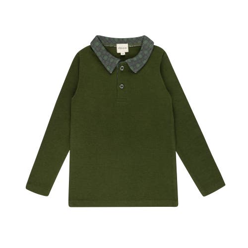 Ely's & Co. Velour Plaid Bear Collection In Green