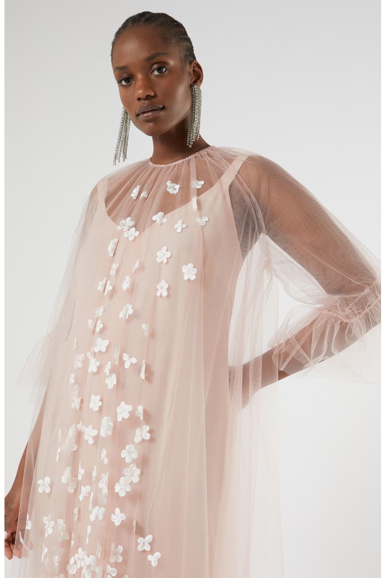 Ecalante Sheer Maxi Dress, Alternate, color, PINK