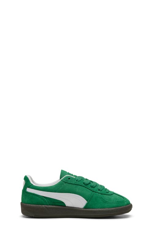 Puma Kids' Palermo Sneaker In Archive Green- White