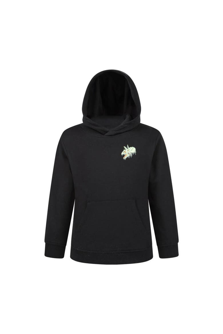Childrens/Kids Dripping Dino Hoodie, Main, color, Jet Black