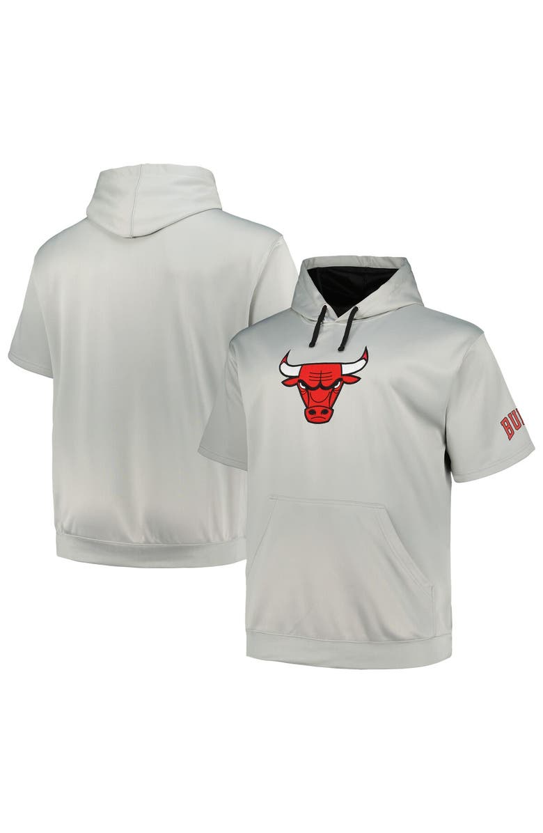 FANATICS Men's Fanatics Branded Silver Chicago Bulls Big & Tall Logo Pullover Hoodie, Alternate, color, Silver