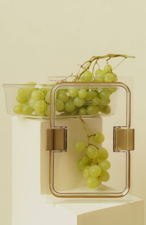 Modern Picnic Luncher + 1 Container Set In Clear