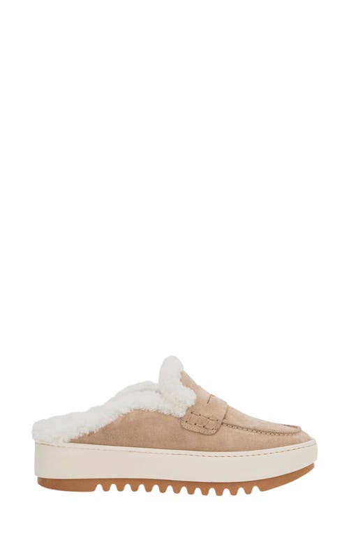 Aquatalia Amata Genuine Shearling Lined Mule In Ecru