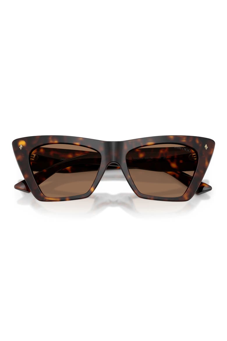 53mm Cat Eye Sunglasses, Alternate, color, HAVANA / DARK BROWN